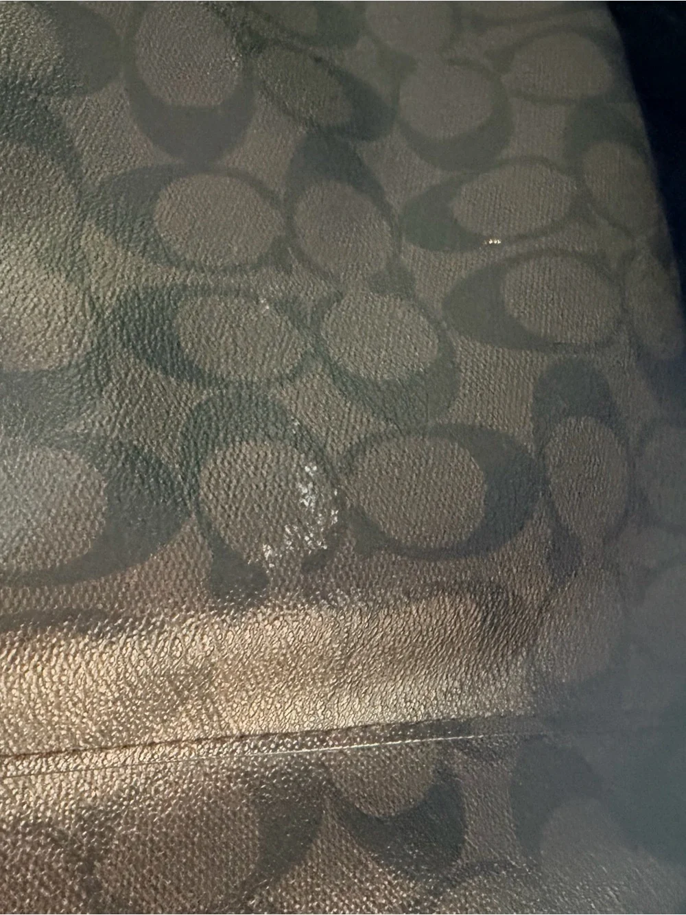 Coach Signature Hobo Bag